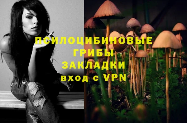 синтетический гашиш Богородицк