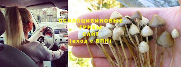 первитин Богородск