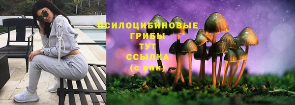 первитин Богородск
